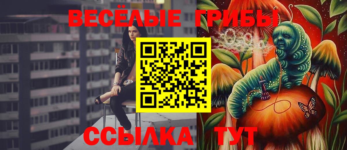 Галлюциногенные грибы GOLDEN TEACHER Новотроицк